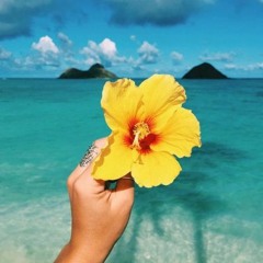 When Will We - Gabriel Grey (ft. Lil Tuesday)