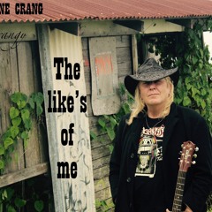 The Likes Of Me by Shane Crang (Crangy)
