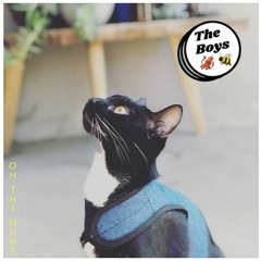 On The Hunt ft. bambi*star, trillvestris