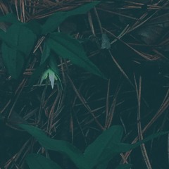 Cooati Ambient Mix 2017 --- Summer to Winter