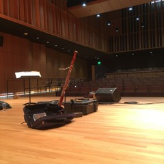 WAITING FOR RAIN-CHICO