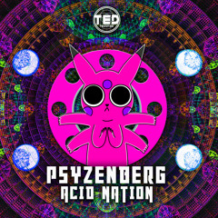 Psyzenberg - Acid Nation ( Free download )
