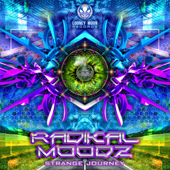 Radikal Moodz - Undergroung Therapy