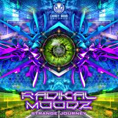 Radikal Moodz - Strange Journey