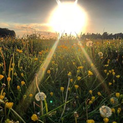 Summer Solstice Mix 2018 Andy Compton