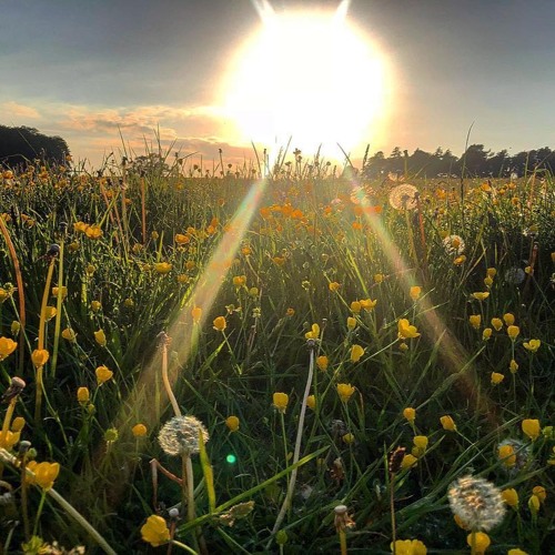 Summer Solstice Mix 2018 Andy Compton