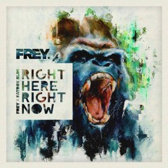 FREY x Fatboy Slim - Right Here, Right Now FREE DOWNLOAD