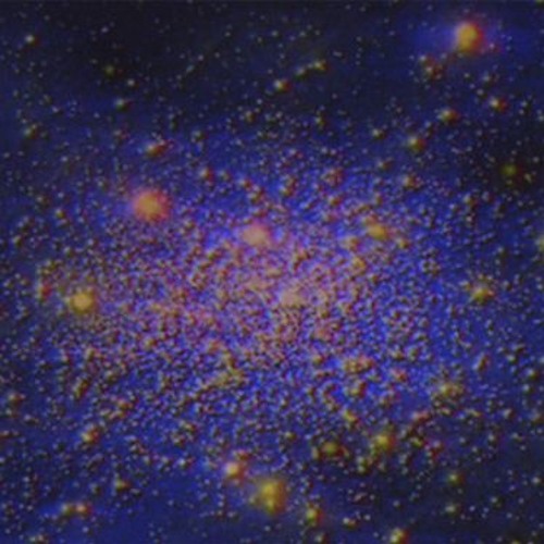 Manifest Mirage