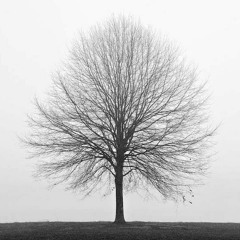وَأَحَاطَتْ بِهِ خَطِيئَتُهُ .. د:فريد الأنصاري(رحمه الله)