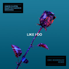 David Guetta, Martin Garrix & Brooks - Like I Do (Eric Rodriguez Remix)