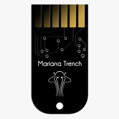 1 - Mariana Trench - FDN Feedback - preset - demo