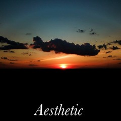 Aesthetic (feat. Supr Badd)