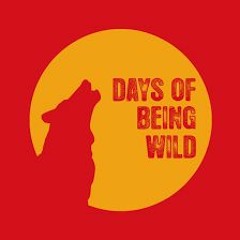 [TSUGI RADIO] Days Of Being Wild #4