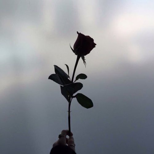 without her