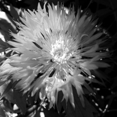 Brownstone - If You Love Me (NHTGL Remix)