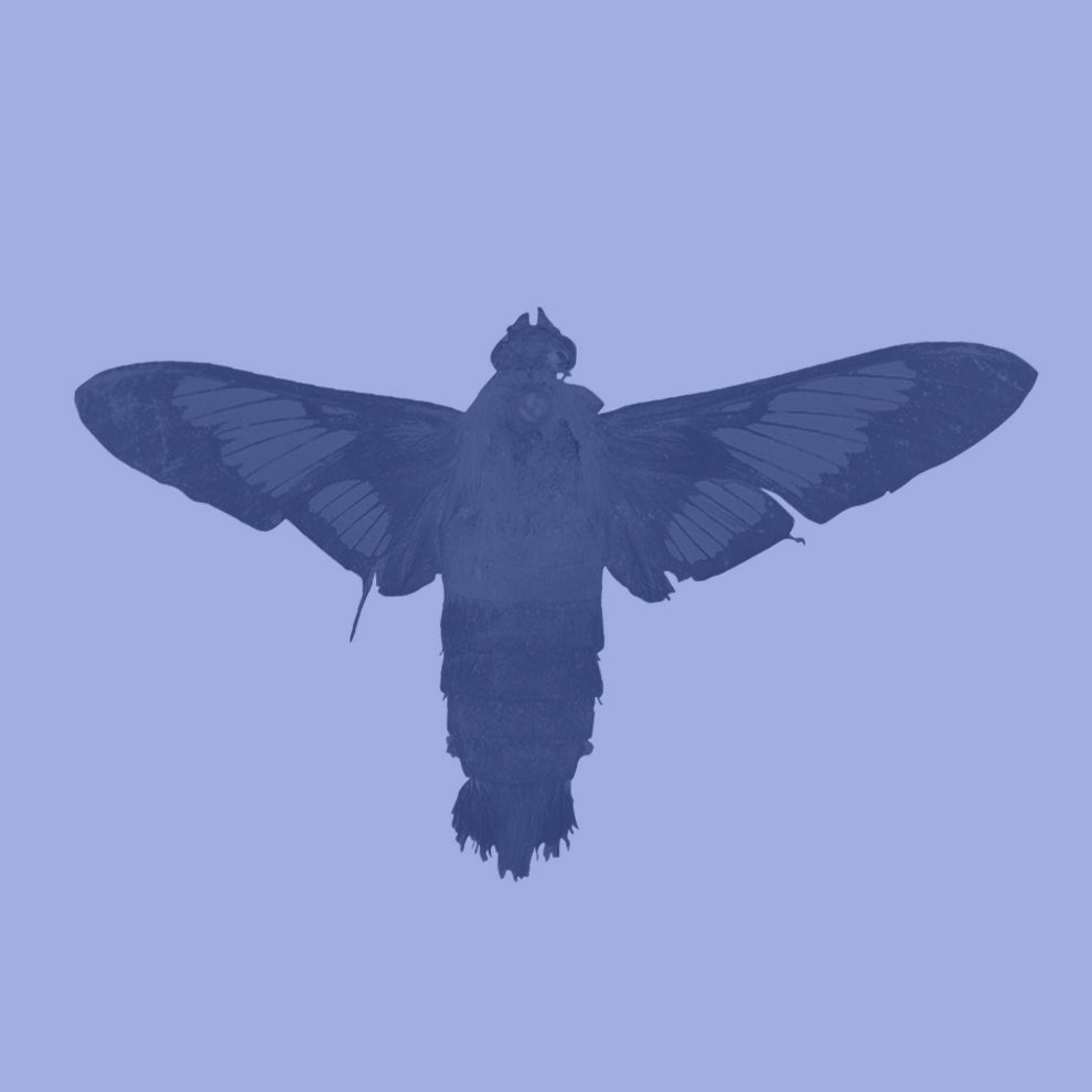 Linnean Podcasts