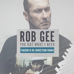 Rob Gee - You Got What I Need (Tensor & Re-Direction Remix)