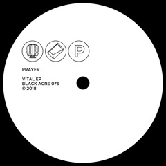Premiere: Prayer 'Vital'