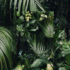 ｒｅｂｅｌｌｉｏｎ