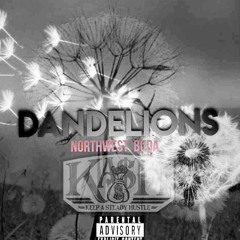 DANDELIONS (OFFICIAL AUDIO)