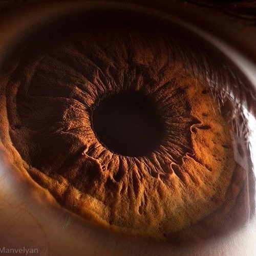 Psychedelic Rock//Alternative