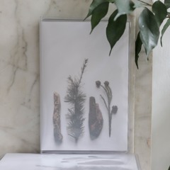 mack truck gone fishing