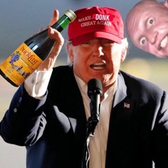 Sean McInally - OneFiveFour (make donk great again)