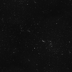 If We Fight (Prod. Xtravulous)