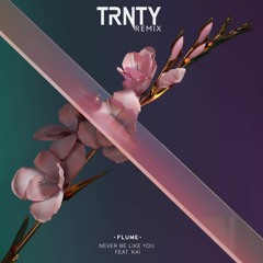 Flume - Never Be Like You ft. Kai (TRNTY Remix)