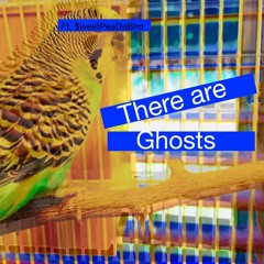 There are Ghosts