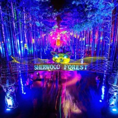 Forest FOMO Mix
