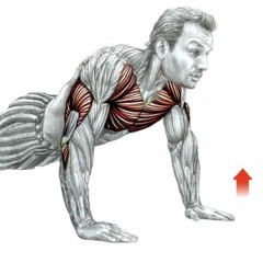 Press up push up outlet