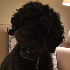 Malik Mustache, N.E.O.N, Vinne - Rock U Feat. Samantha Nova (Radio Edit)