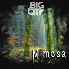 Big City - Mimosa