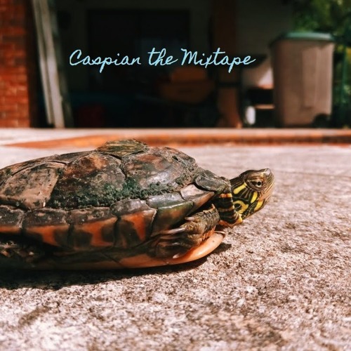 Stream Caspian The Mixtape by Caspian | Listen online for free on ...