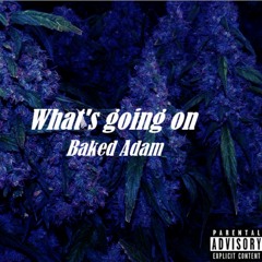 What's going on - Baked Adam (Prod. NullBeats)