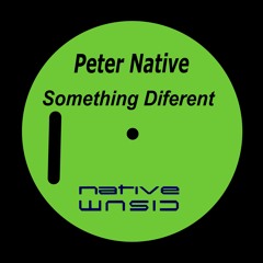 Peter Native - Something Diferent (Original Mix)NATMD009