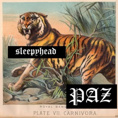 Sleepyhead (feat. SØNDER)