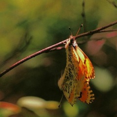 matters of the heart 2