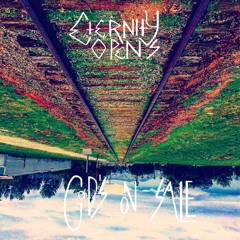 Ticks And Leeches (Tool Cover)