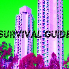 SURVIVAL GUIDE #4: Heducation