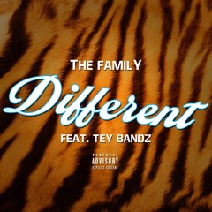 Different |The Family. ft. Tey Bandz| prod by. T&EBEATS