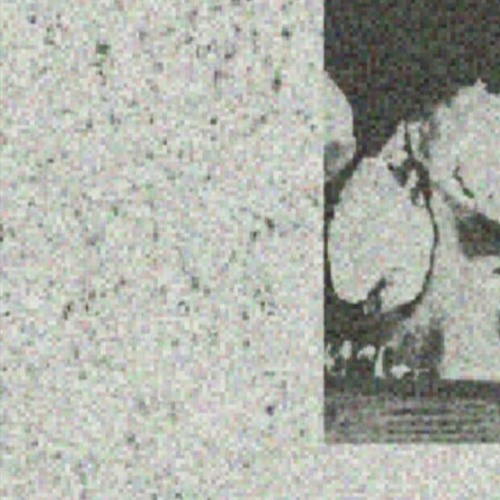 PHONKY FLEXX - DIE