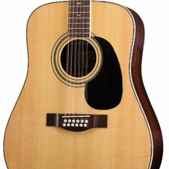 Farida D16-12 民謠吉他試聽