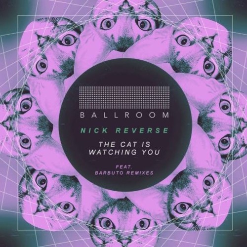 The Cat is Watching You (Original Mix)