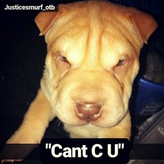 JusticeSmurf - "Cant C U"