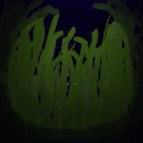 He Was Dragged Down By The Kelp