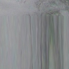 microchasm