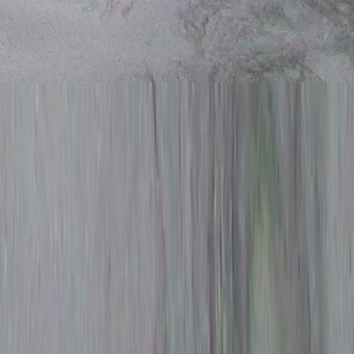 microchasm