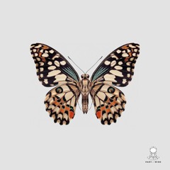 Monoteck - Awake At Night (Preview)(POM006)